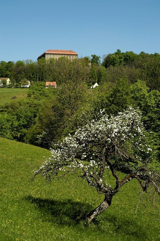 Gasthof Adler Schillingsfürst Exteriör bild